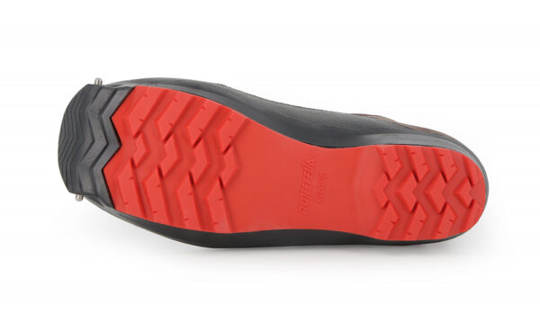 Alpina Pioneer Pro Xplore - Bild 4